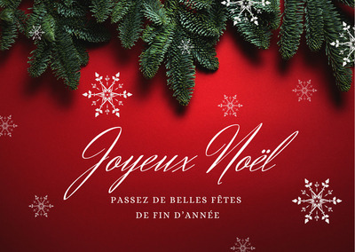 L'AGENCE CABANIS VOUS SOUHAITE UN JOYEUX NOL