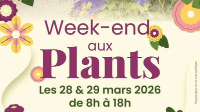 le Week-End aux Plants de Sanary-sur-Mer